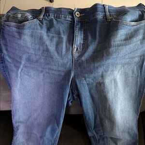 Torrid Skinny Fit Blue Jeans